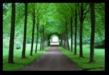 Path to the lake in Fredensborg Palace
