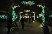 Part of the 'River of Lights' display at the Albuquerque Botanic Garden