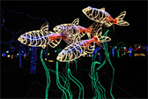 Part of the 'River of Lights' display at the Albuquerque Botanic Garden